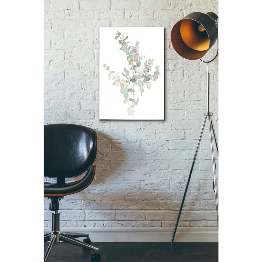 Epic Art 'Eucalyptus II White' by Danhui Nai, Acrylic Glass Wall Art,16x24