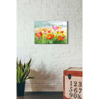 Epic Art 'Meadow Poppies' by Danhui Nai, Acrylic Glass Wall Art,16x24