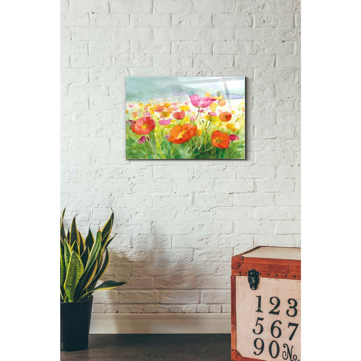 Epic Art 'Meadow Poppies' by Danhui Nai, Acrylic Glass Wall Art,16x24