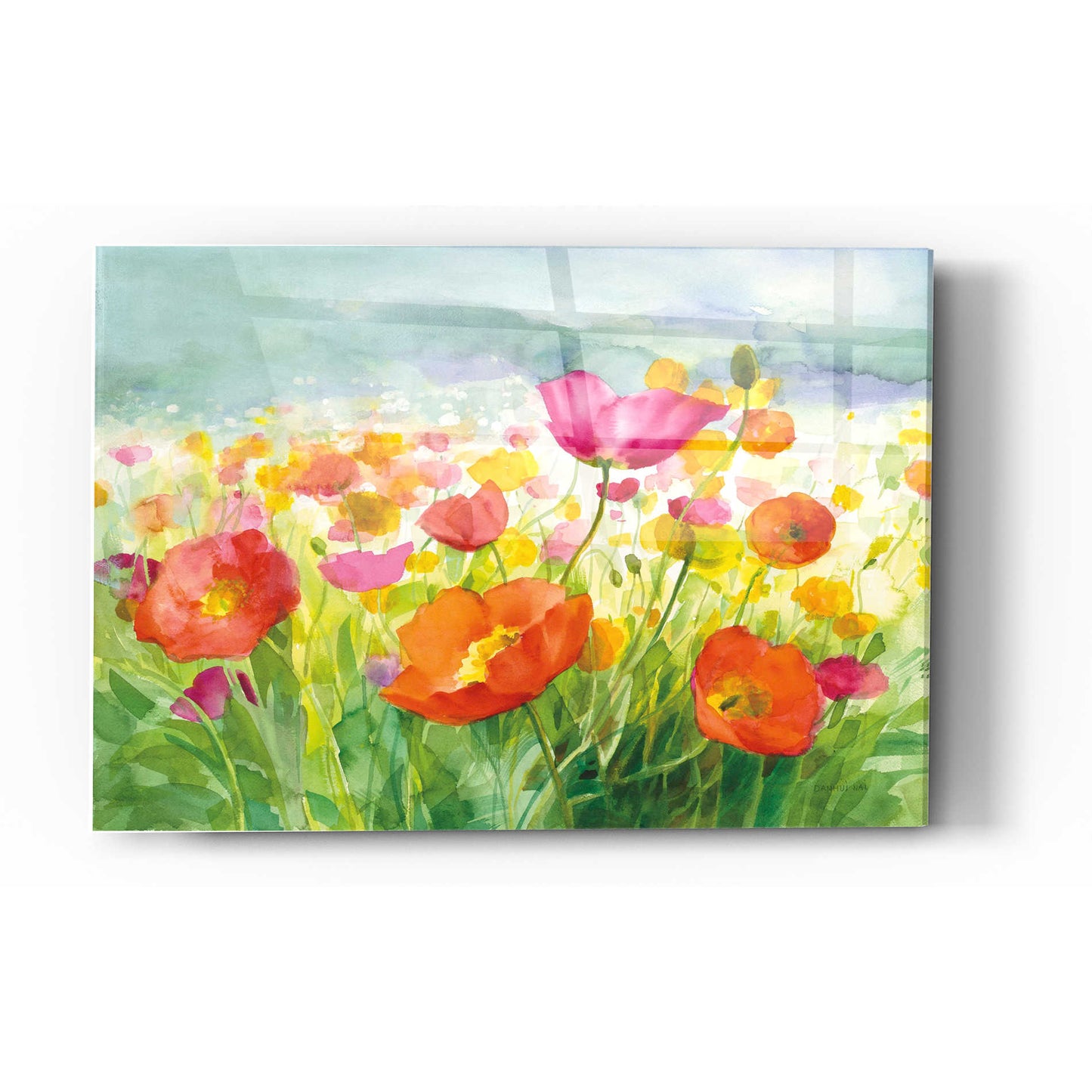 Epic Art 'Meadow Poppies' by Danhui Nai, Acrylic Glass Wall Art,16x24