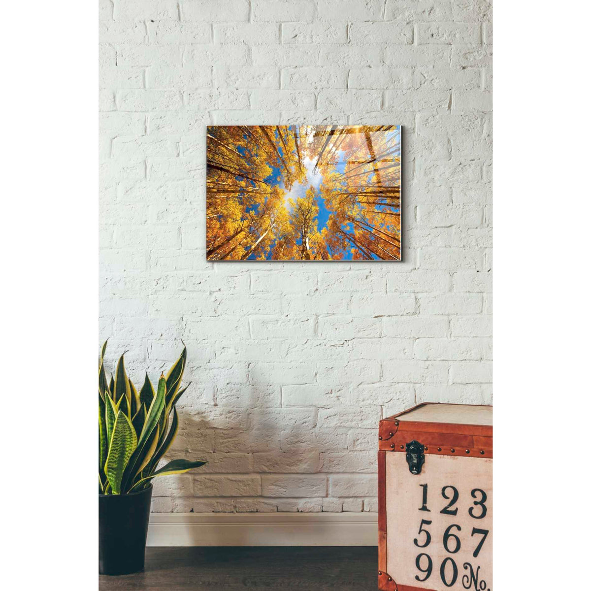 Epic Art "Towering Aspens" by Darren White, Acrylic Glass Wall Art,16x24