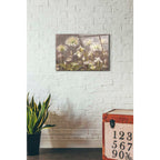 Epic Art 'Spring Blossoms Neutral' by Danhui Nai, Acrylic Glass Wall Art,16x24