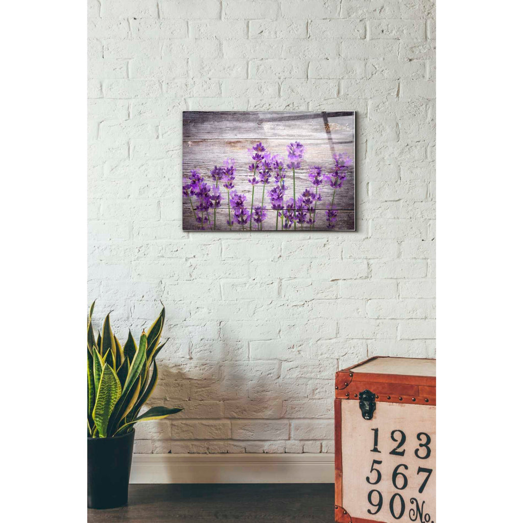 Epic Art "Serene and Rustic" Acrylic Glass Wall Art,16x24