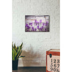 Epic Art "Serene and Rustic" Acrylic Glass Wall Art,16x24