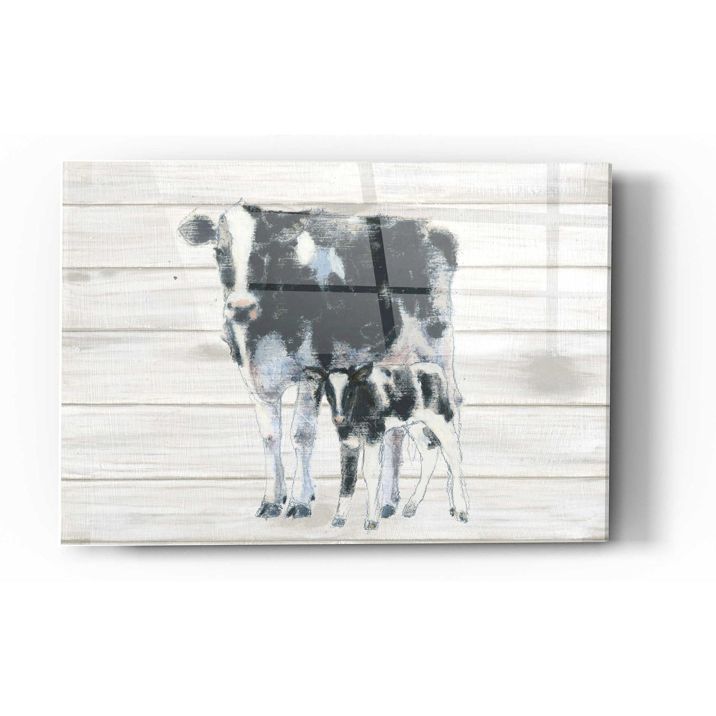Epic Art 'Cow and Calf on Wood' by Emily Adams, Acrylic Glass Wall Art,16x24