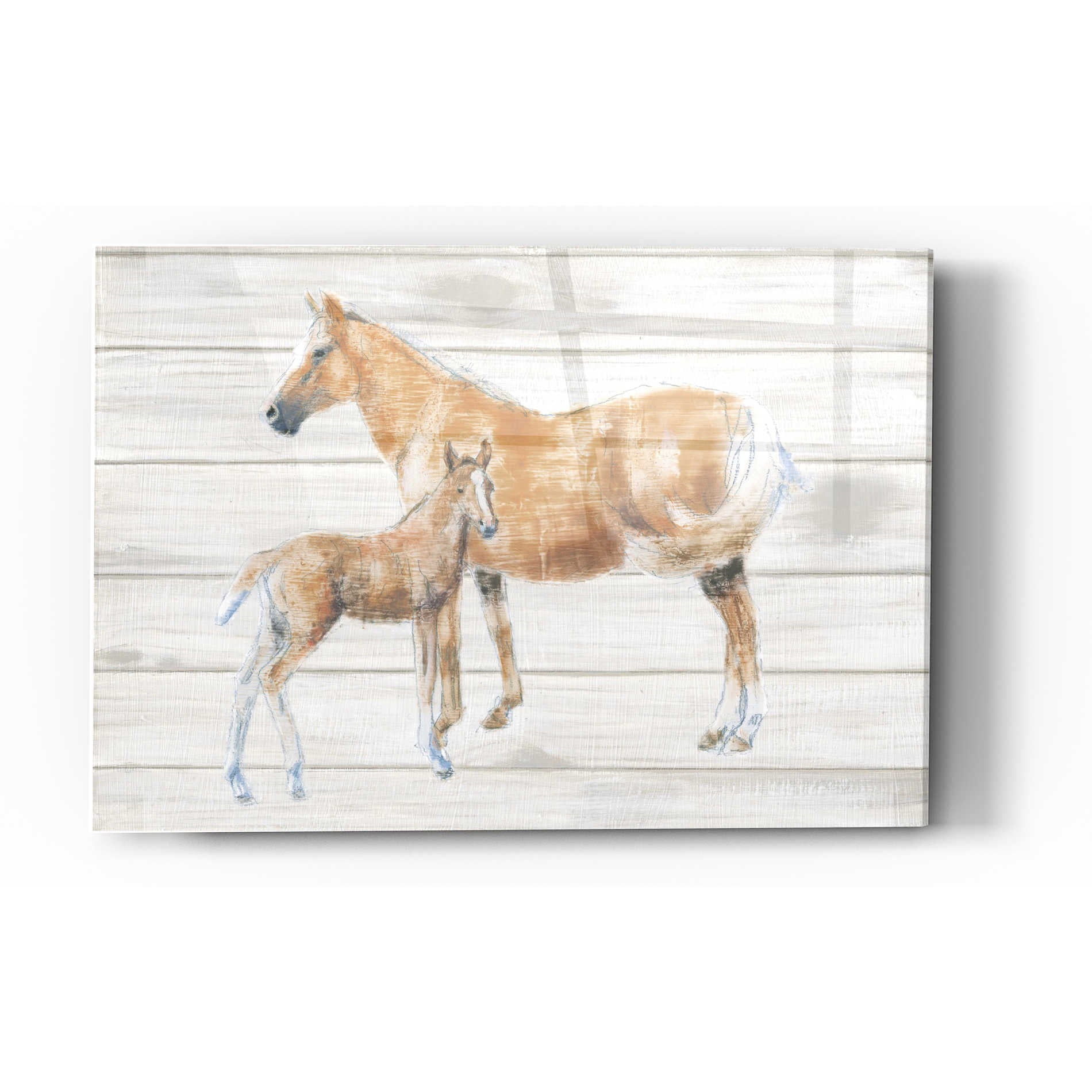 Epic Art 'Horse and Colt on Wood' by Emily Adams, Acrylic Glass Wall Art,16x24