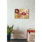 Epic Art 'A Poppys Touch I Spice' by Daphne Brissonet, Acrylic Glass Wall Art,16x24