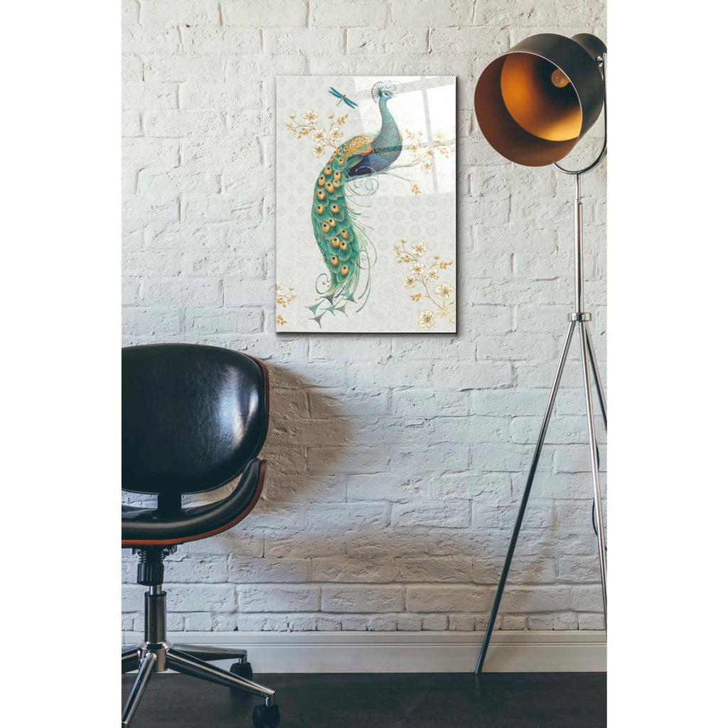 Epic Art 'Ornate Peacock IXA' by Daphne Brissonet, Acrylic Glass Wall Art,16x24