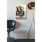 Epic Art 'Doko 2' by Elena Ray Acrylic Glass Wall Art,16x24