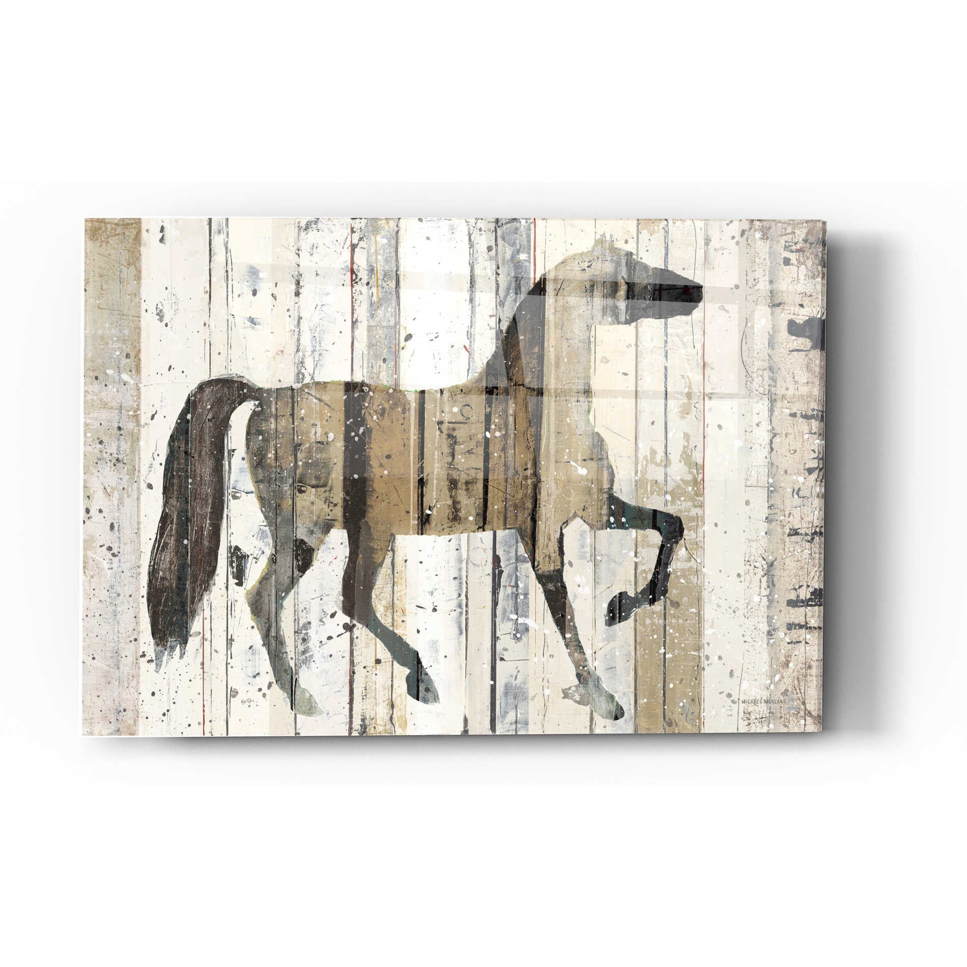 Epic Art 'Dark Horse' by Michael Mullan, Acrylic Glass Wall Art,16x24