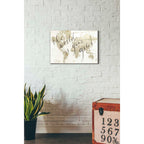 Epic Art 'The World is Your Oyster' by Sara Zieve Miller, Acrylic Glass Wall Art,16x24