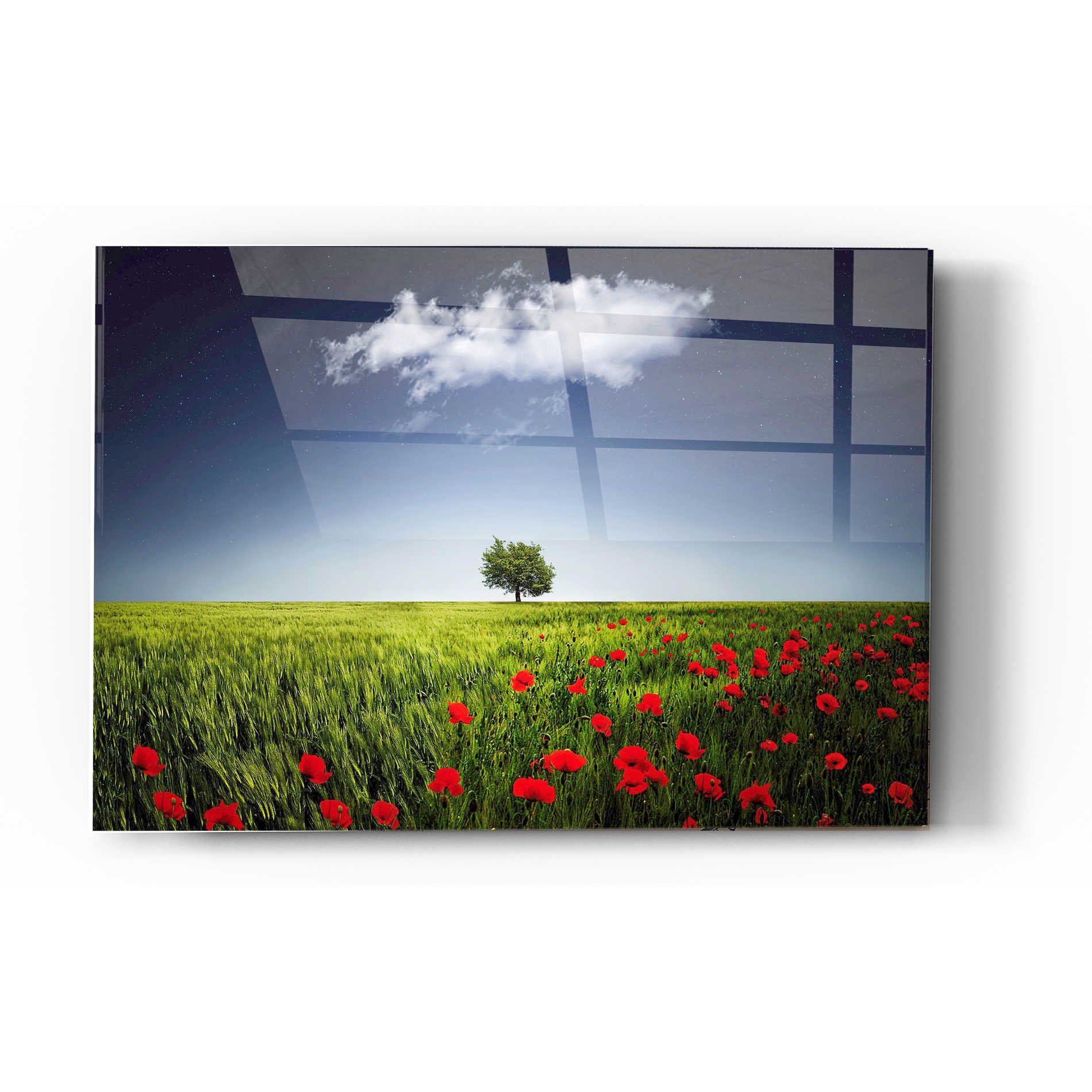 Epic Art "Lone Tree in a Poppy Field" Acrylic Glass Wall Art,16x24
