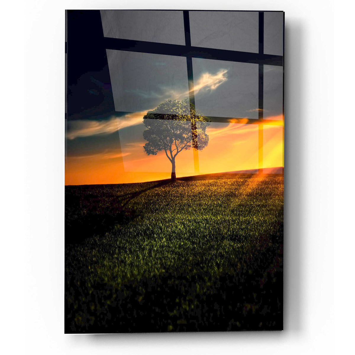 Epic Art "Alone In Peace" Acrylic Glass Wall Art,16x24