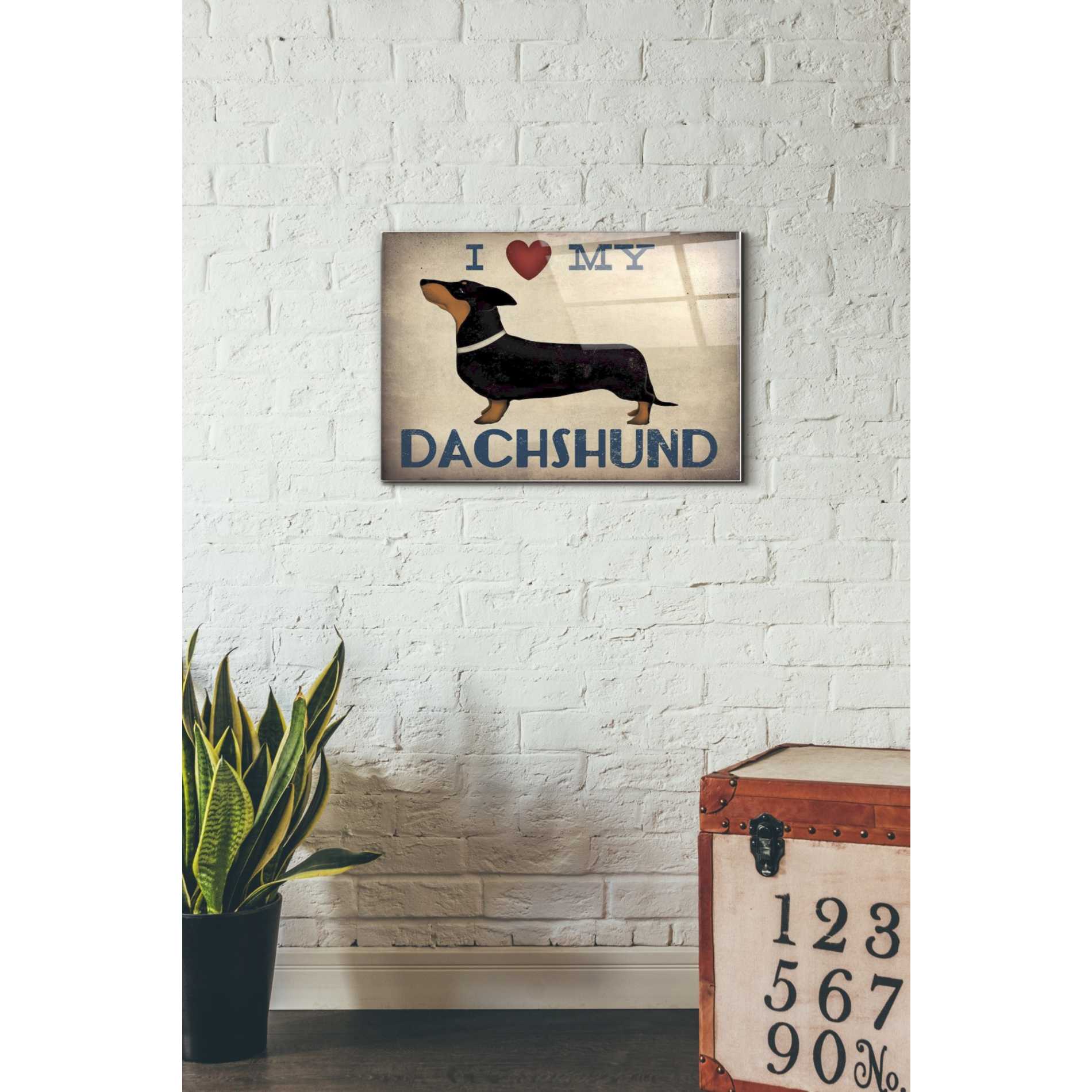 Epic Art 'Dachshund Longboards - Love v2' by Ryan Fowler, Acrylic Glass Wall Art,16x24