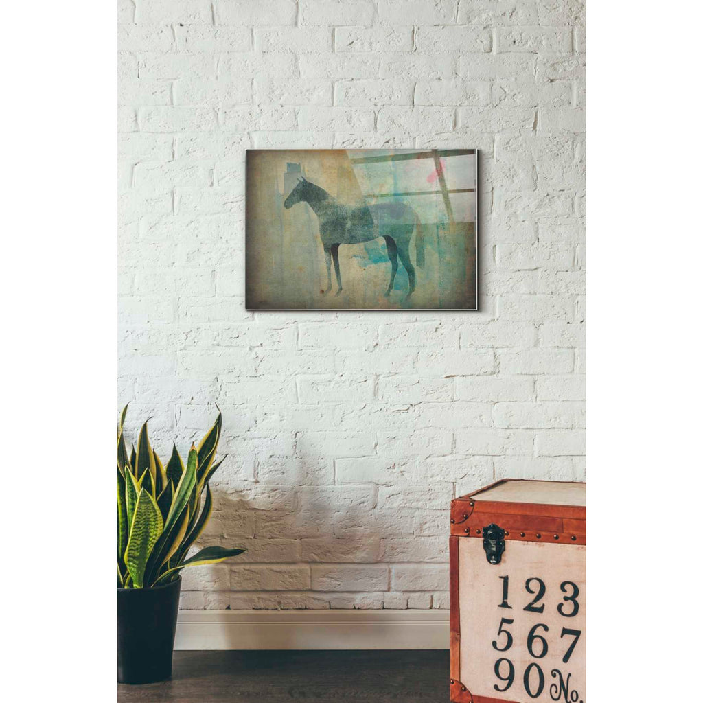 Epic Art 'Cheval Noir v3' by Ryan Fowler, Acrylic Glass Wall Art,16x24