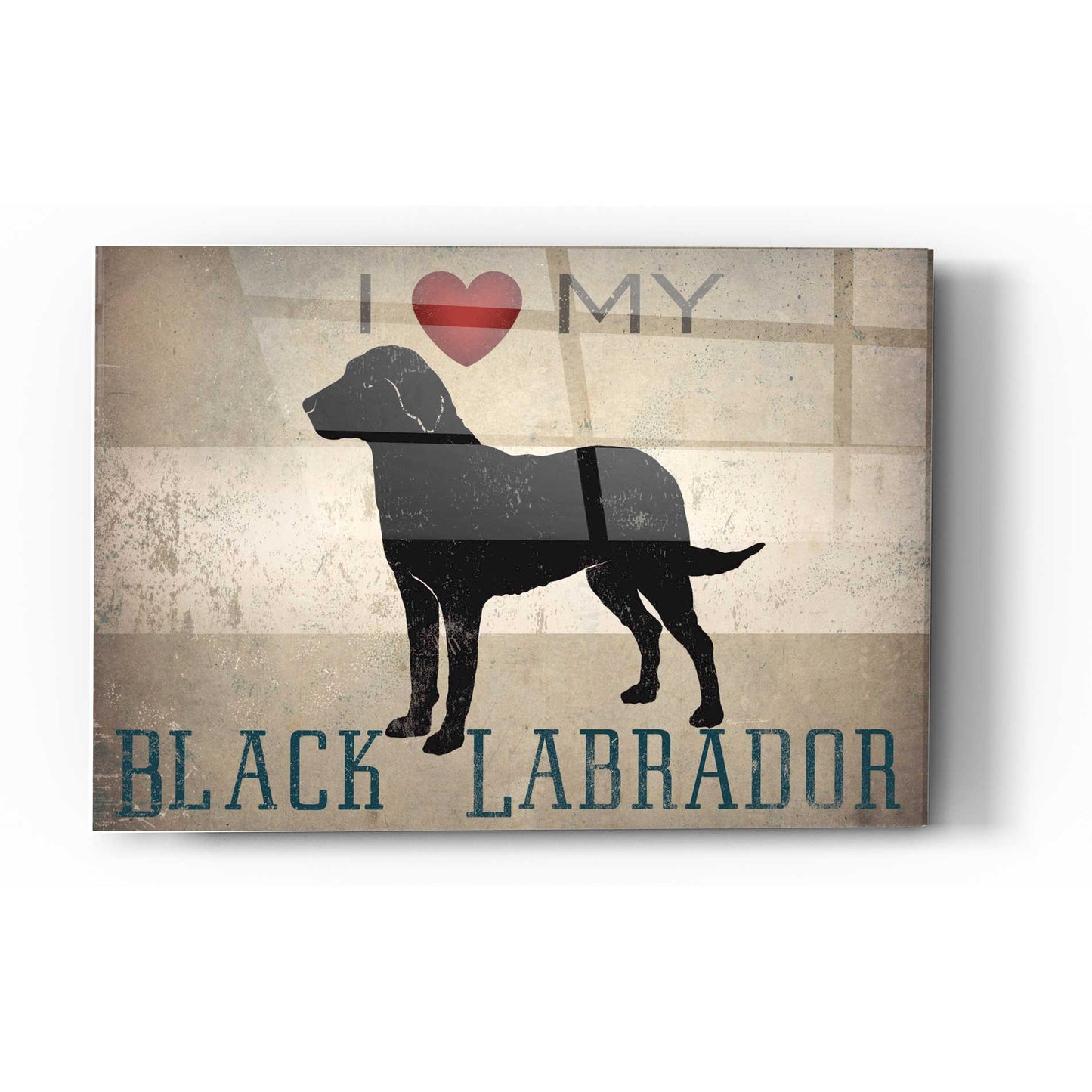 Epic Art 'Labrador Love I' by Ryan Fowler, Acrylic Glass Wall Art,16x24