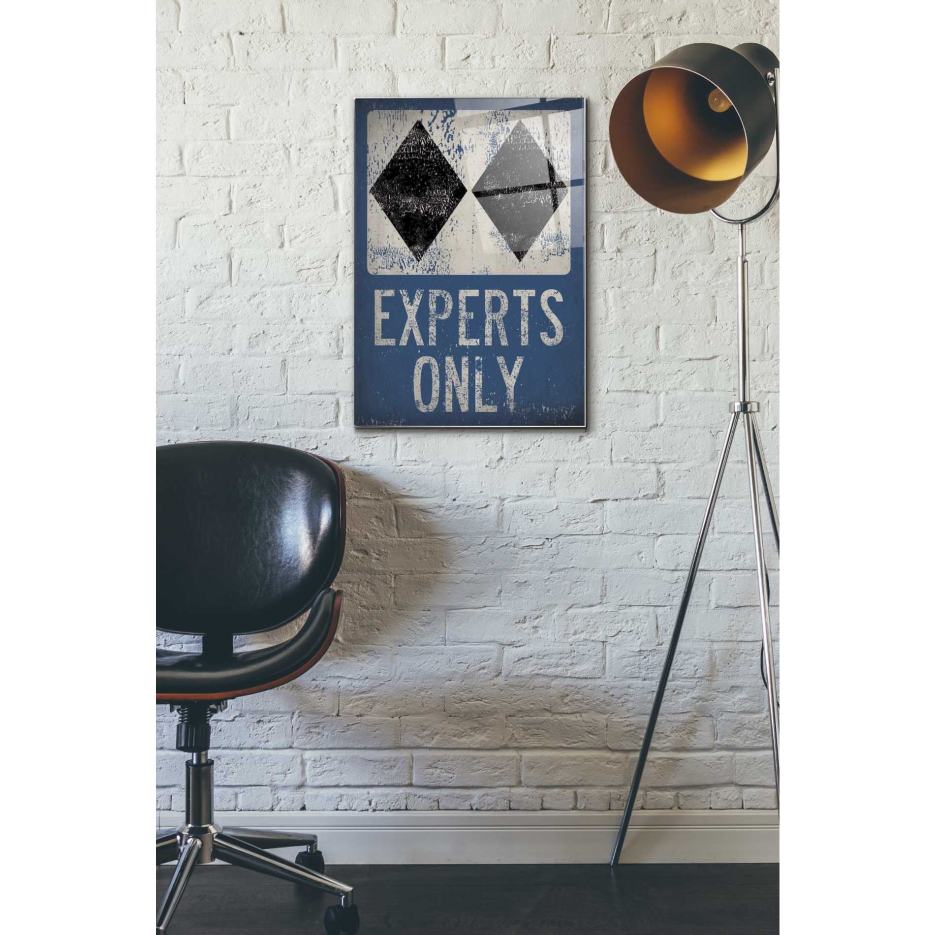 Epic Art 'Experts Only Blue' by Ryan Fowler, Acrylic Glass Wall Art,16x24
