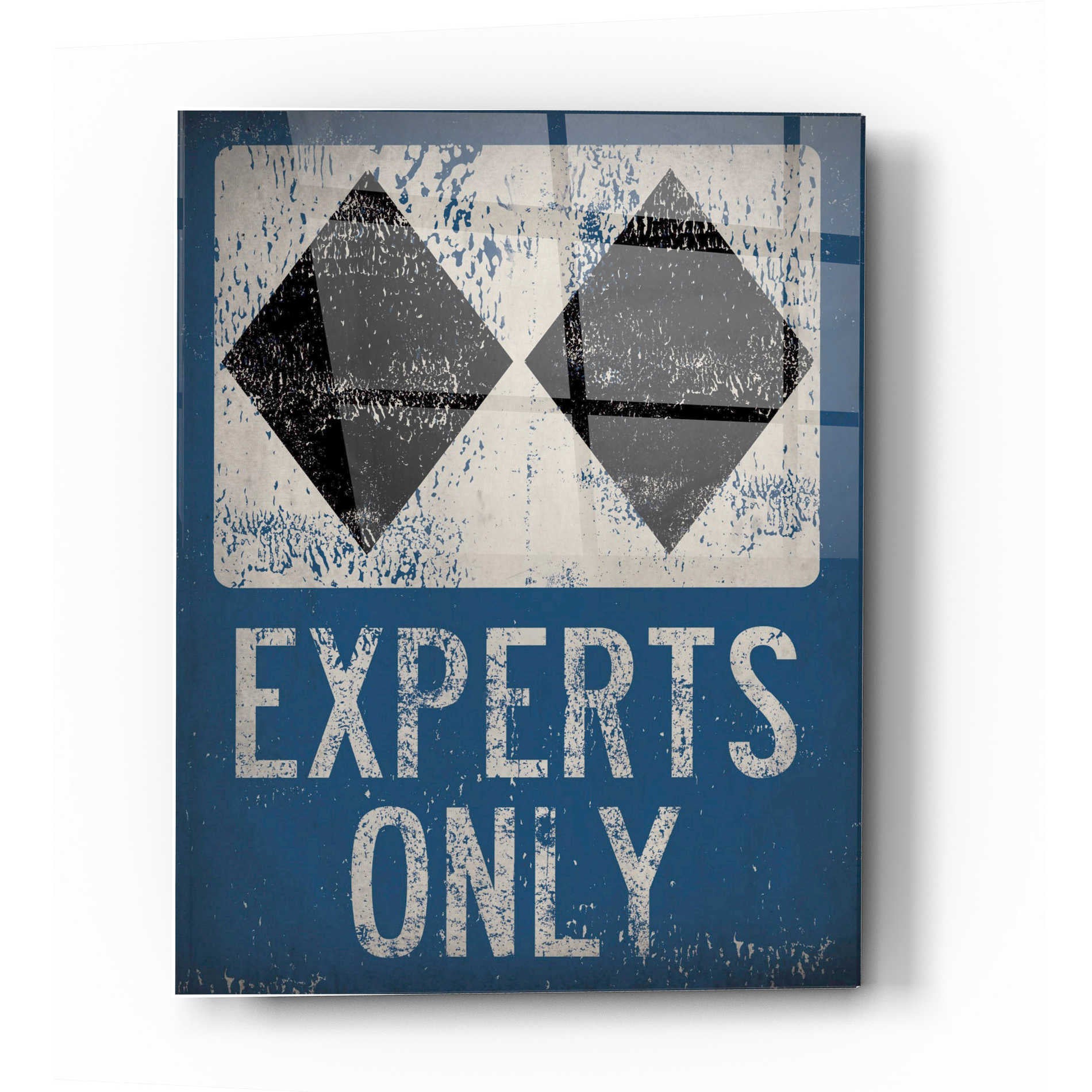 Epic Art 'Experts Only Blue' by Ryan Fowler, Acrylic Glass Wall Art,16x24