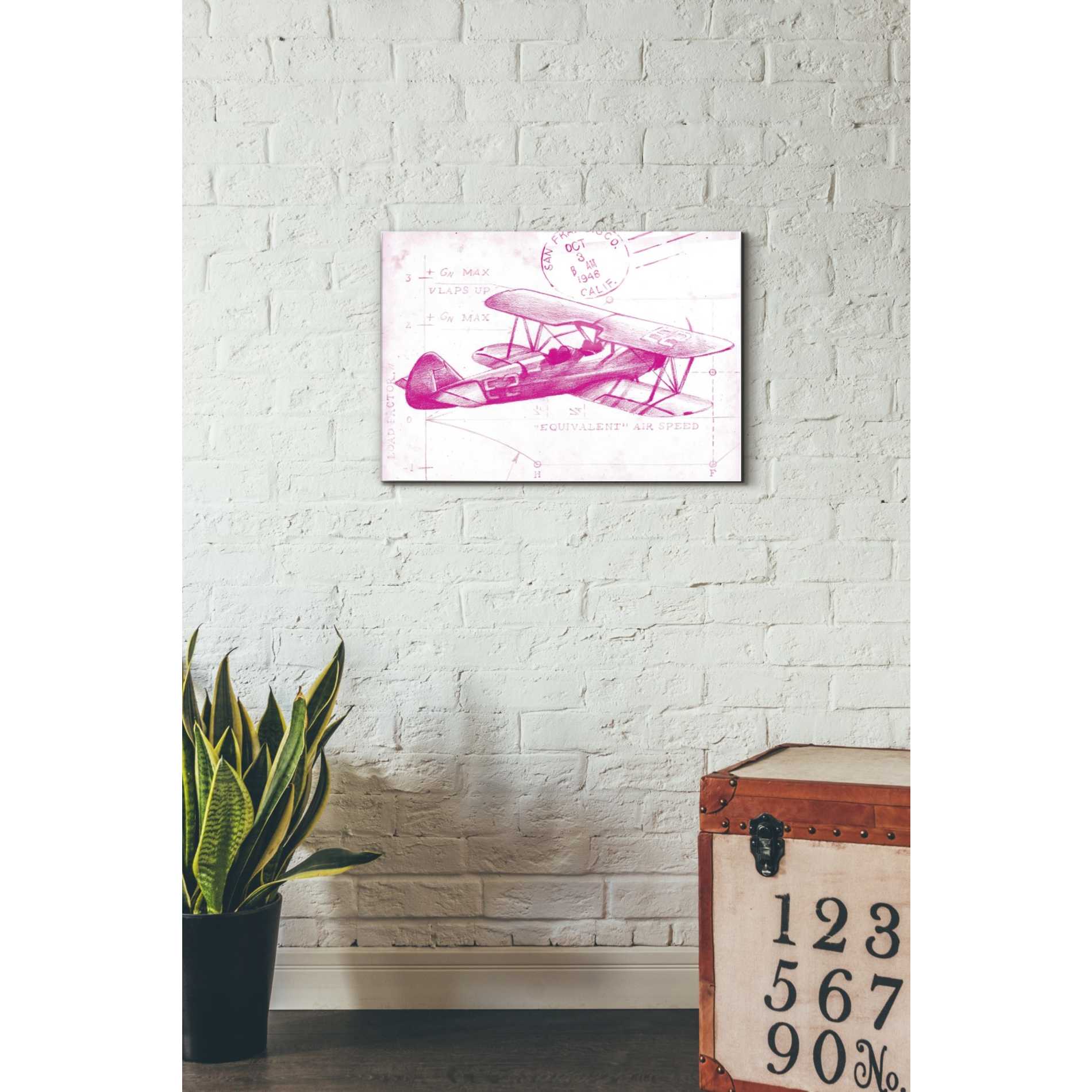 Epic Art 'Flight Schematic I in Pink' by Ethan Harper Acrylic Glass Wall Art,16x24