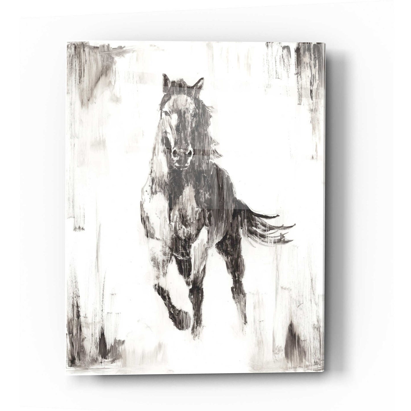 Epic Art 'Rustic Black Stallion II' by Ethan Harper Acrylic Glass Wall Art,16x24