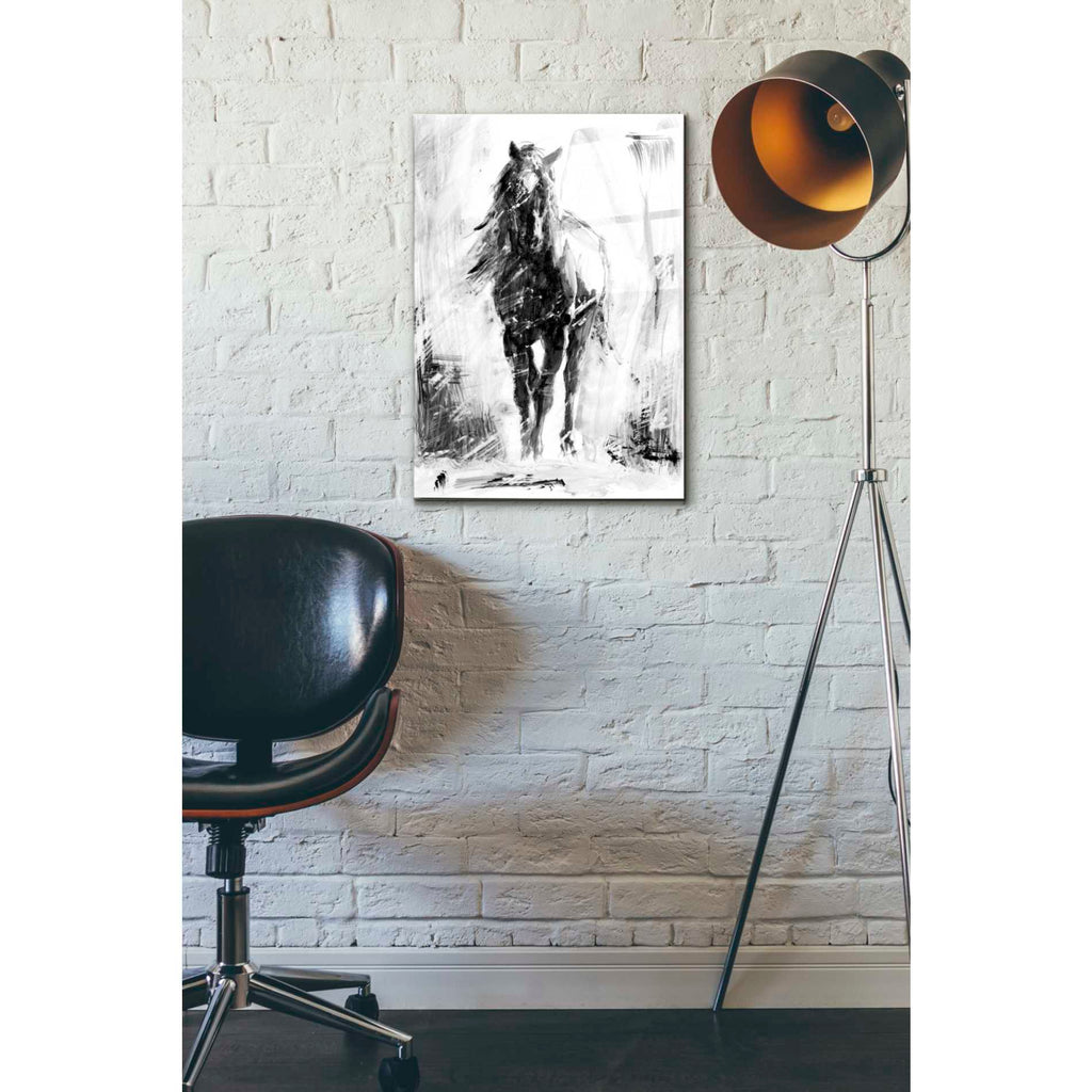 Epic Art 'Rustic Stallion II' by Ethan Harper Acrylic Glass Wall Art,16x24
