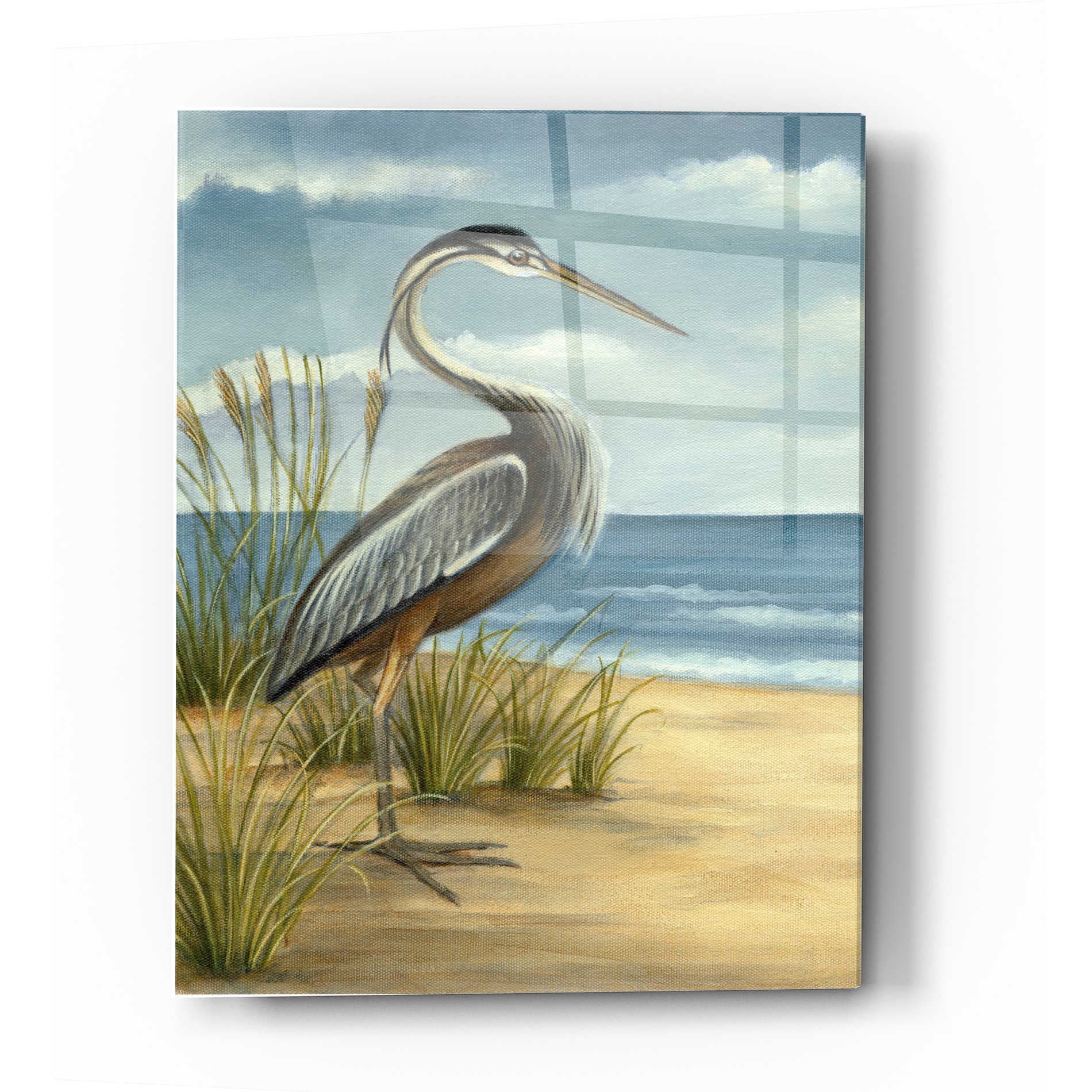 Epic Art 'Shore Bird I' by Ethan Harper Acrylic Glass Wall Art,16x24