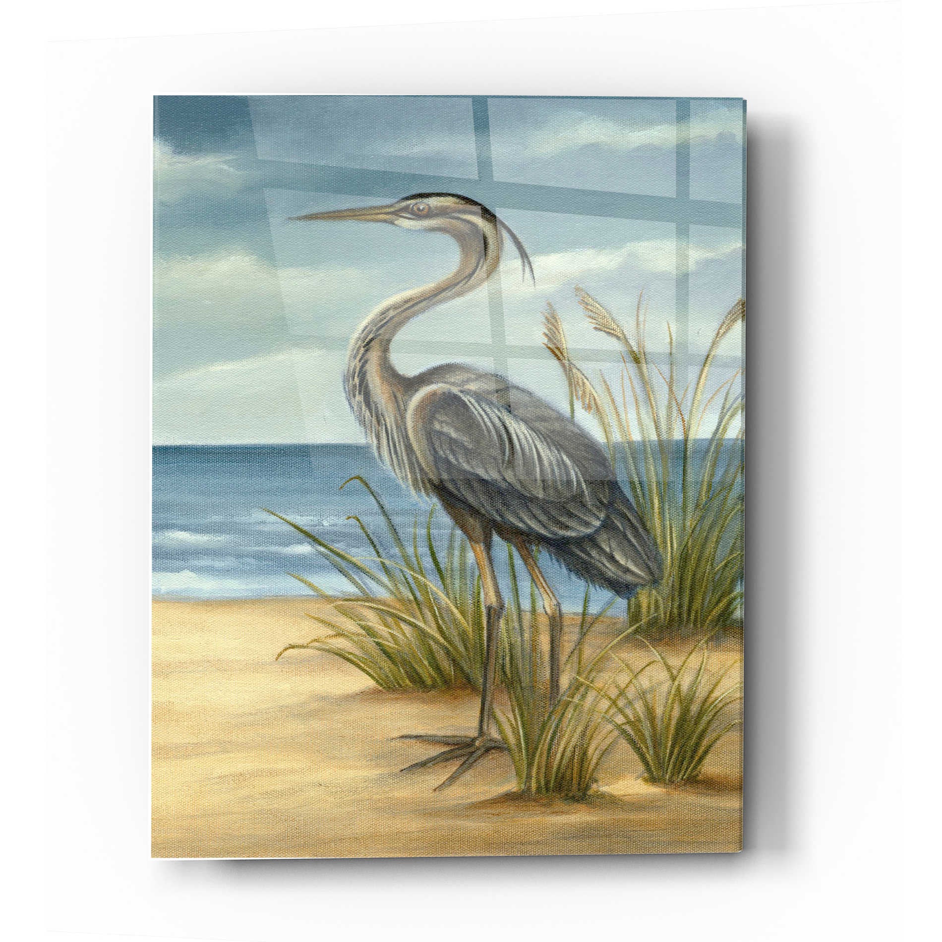 Epic Art 'Shore Bird II' by Ethan Harper Acrylic Glass Wall Art,16x24