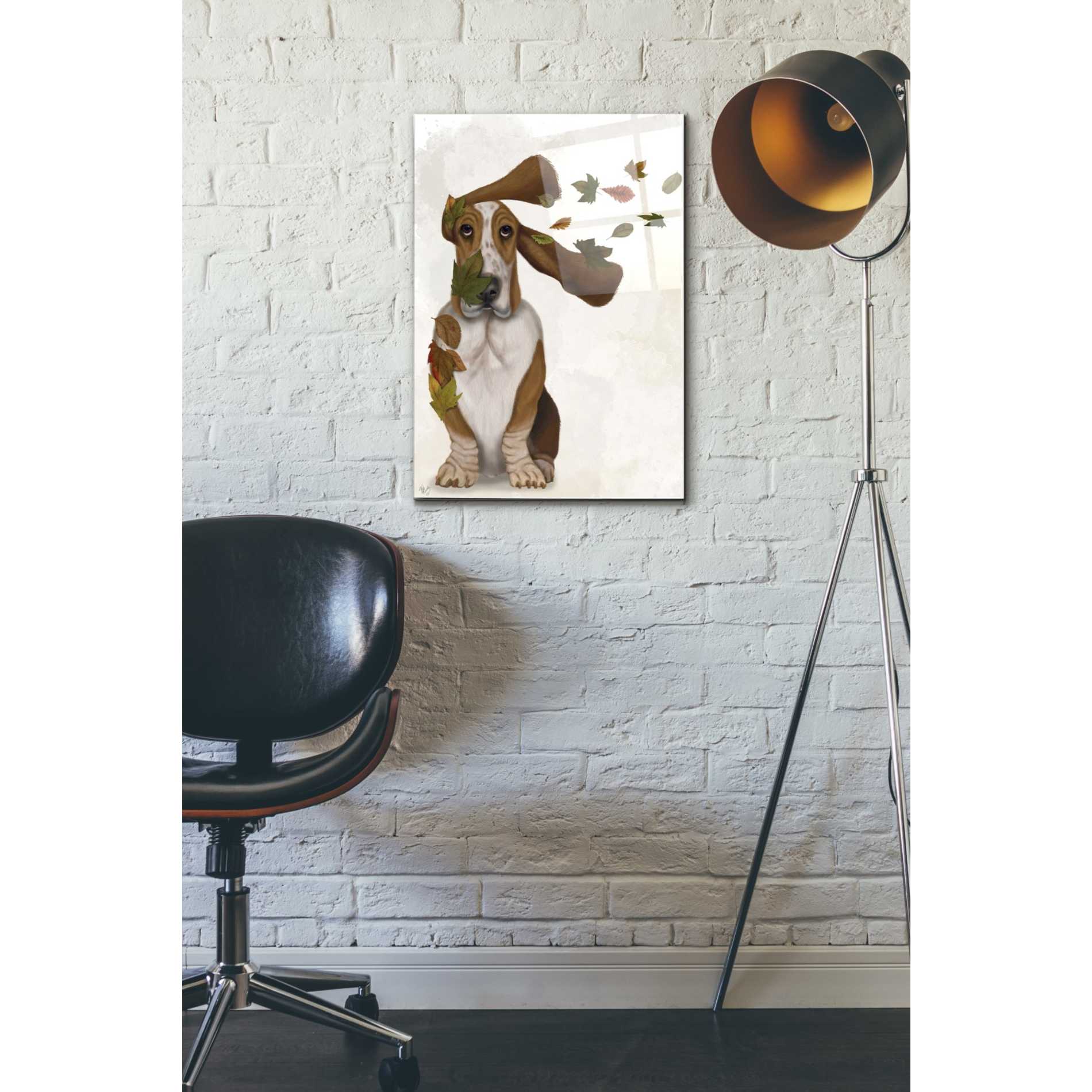Epic Art 'Basset Hound Windswept and Interesting' by Fab Funky Acrylic Glass Wall Art,16x24