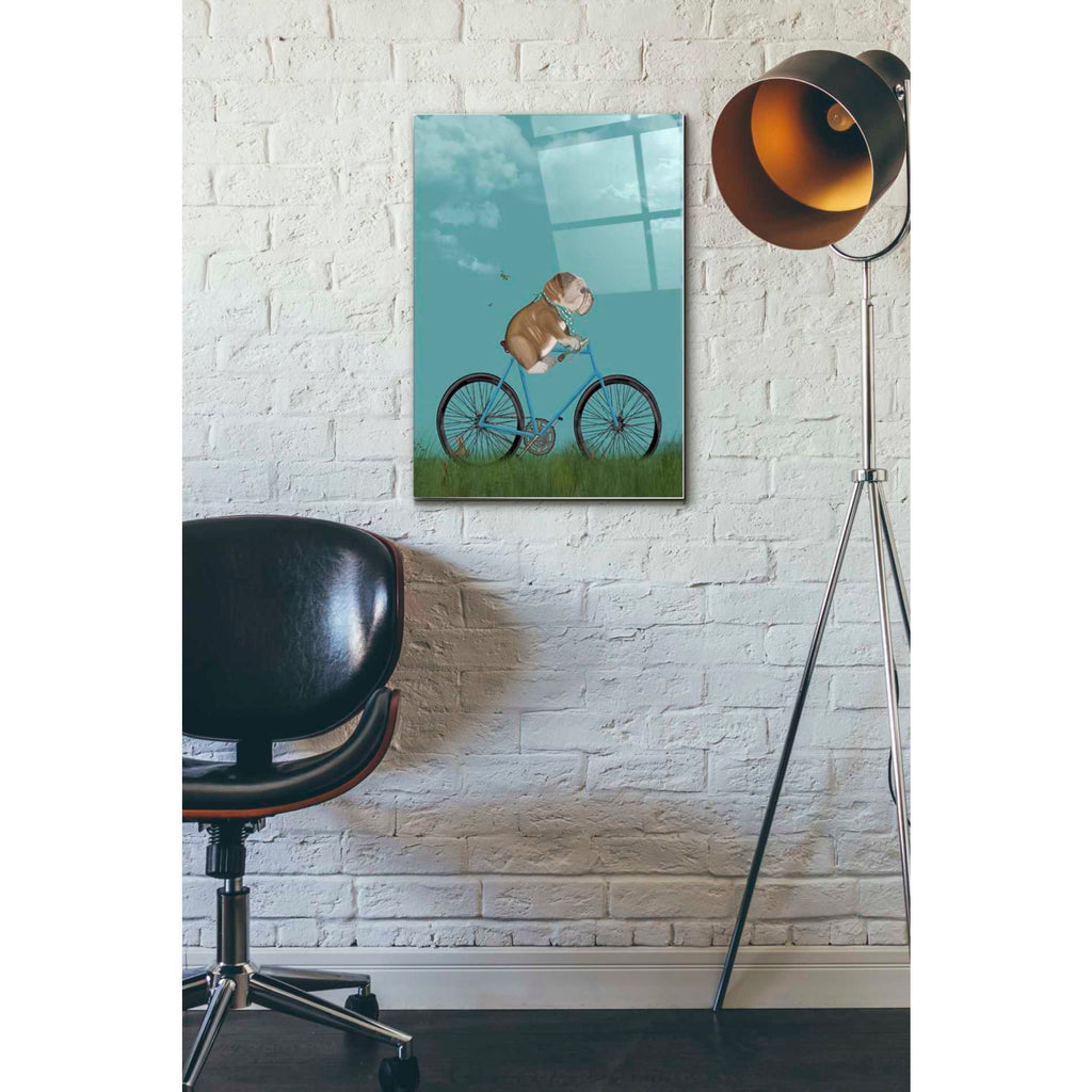 Epic Art 'English Bulldog on Bicycle - Sky' by Fab Funky Acrylic Glass Wall Art,16x24