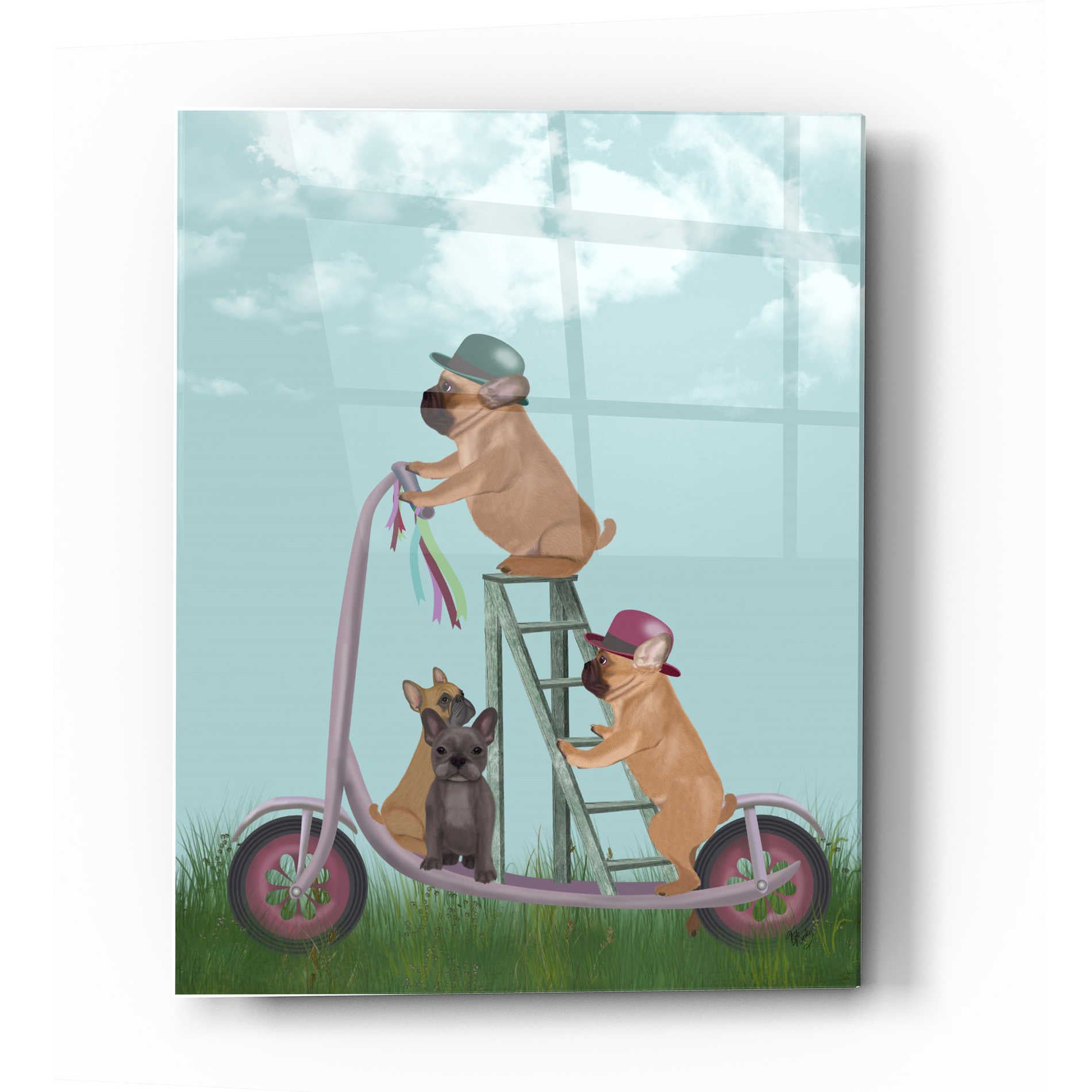 Epic Art 'French Bulldog Scooter' by Fab Funky Acrylic Glass Wall Art,16x24