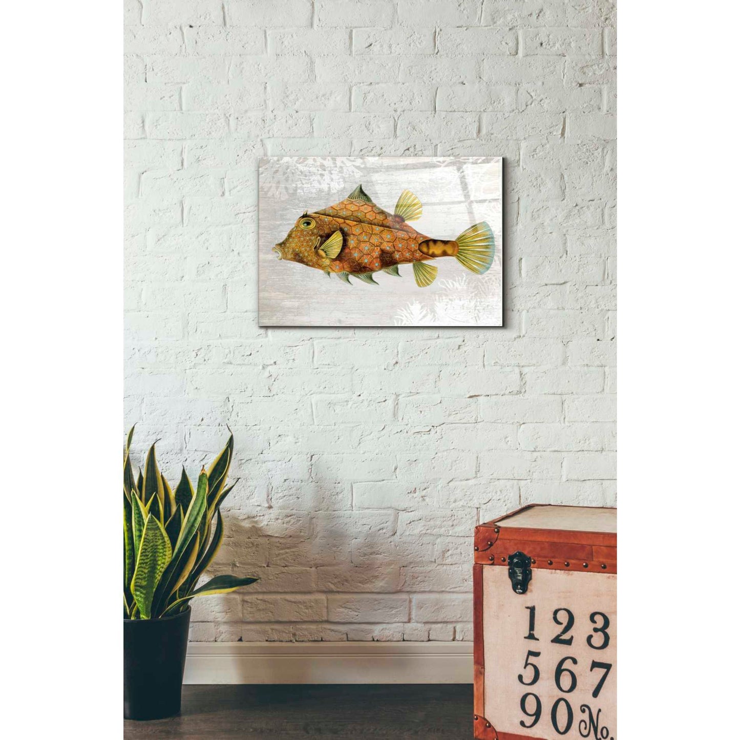 Epic Art 'Gold Turret Fish' by Fab Funky Acrylic Glass Wall Art,16x24