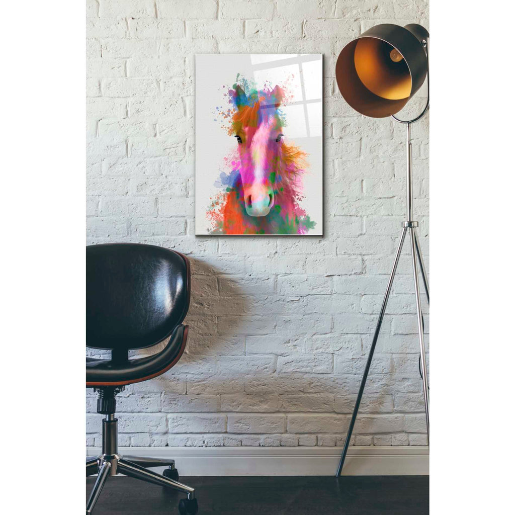 Epic Art 'Horse Portrait 2 Rainbow Splash' by Fab Funky Acrylic Glass Wall Art,16x24
