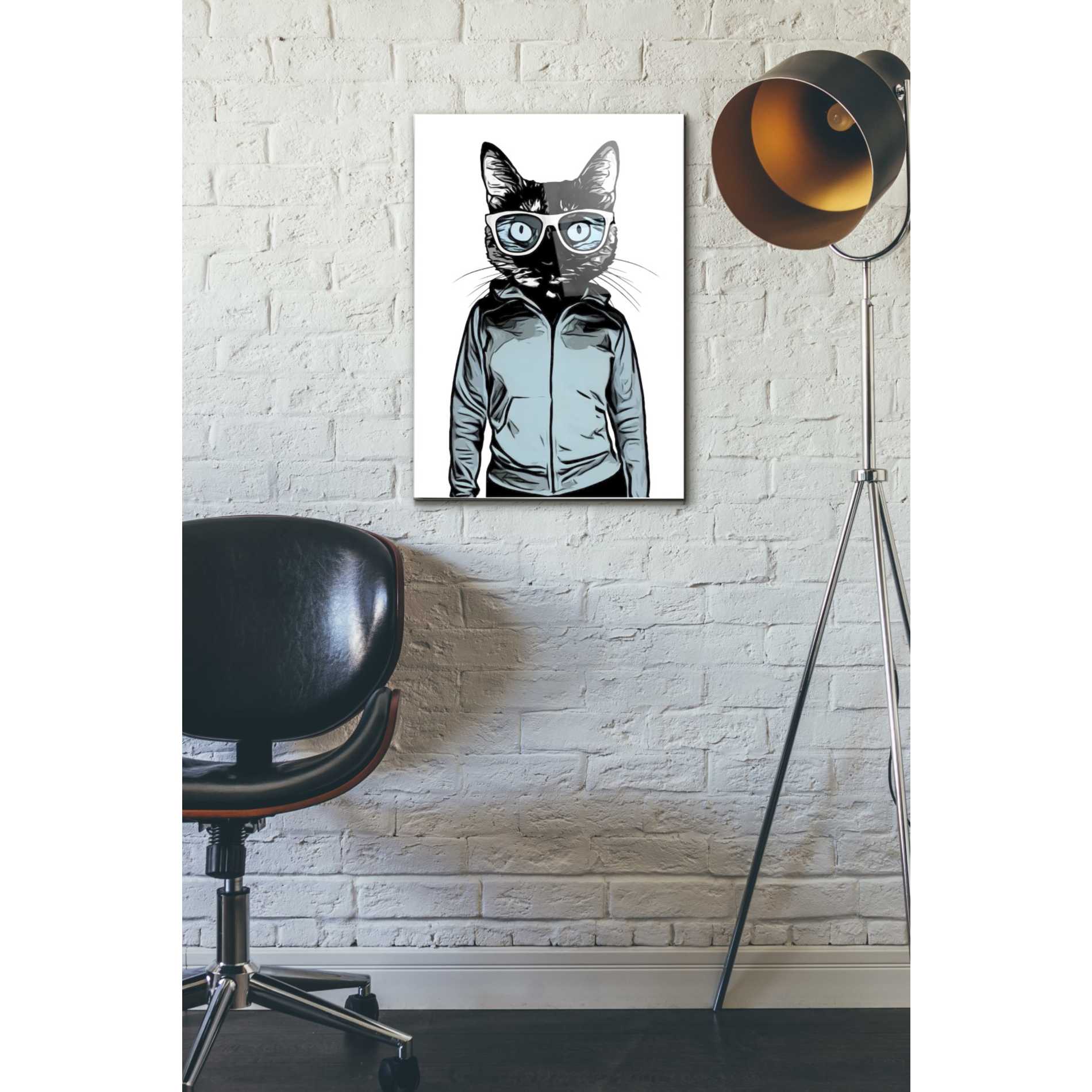 Epic Art 'Cool Cat' by Nicklas Gustafsson, Acrylic Glass Wall Art,16x24