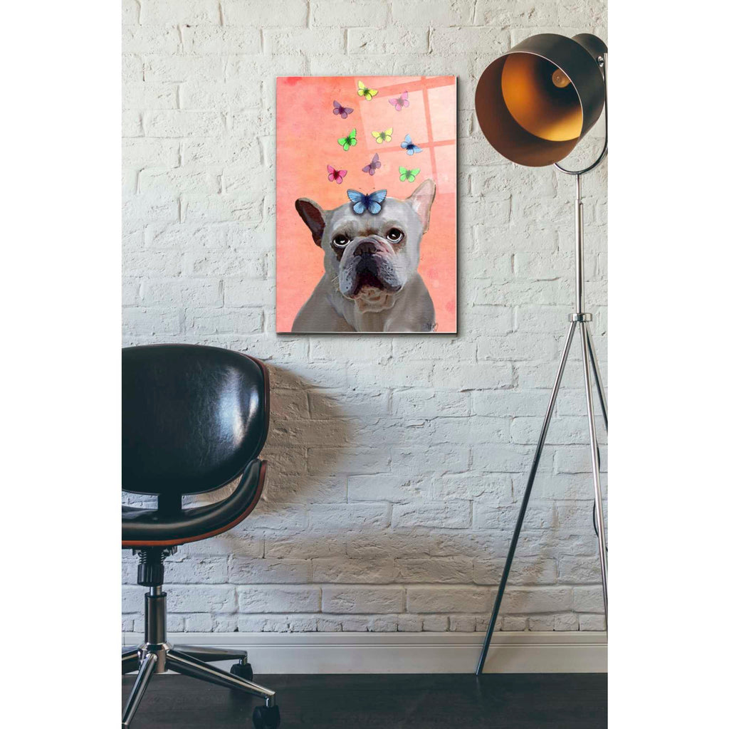 Epic Art 'White French Bulldog and Butterflies' by Fab Funky Acrylic Glass Wall Art,16x24