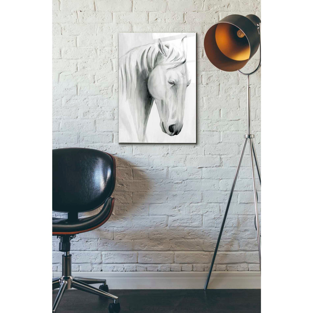 Epic Art 'Horse Whisper II' by Grace Popp Acrylic Glass Wall Art,16x24