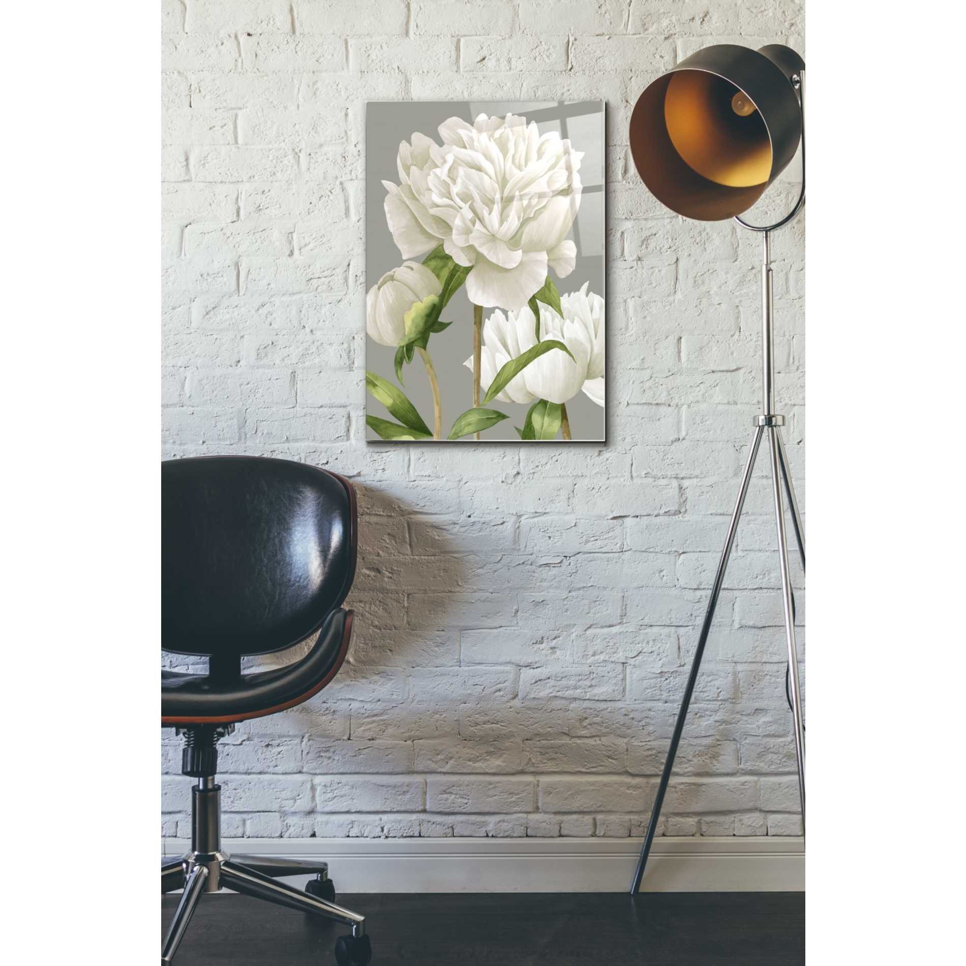 Epic Art 'White Peonies II' by Grace Popp Acrylic Glass Wall Art,16x24