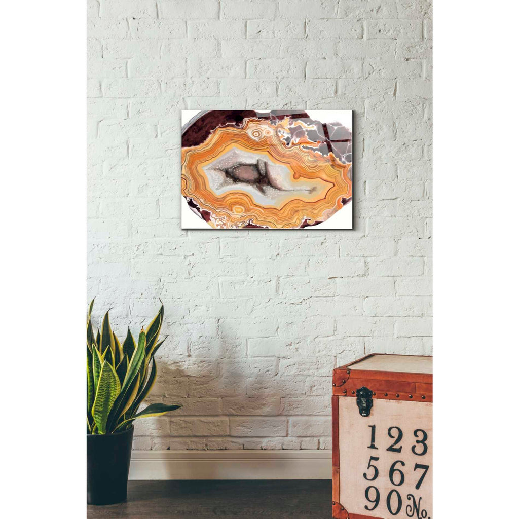 Epic Art 'Agate Studies III' by Naomi McCavitt Acrylic Glass Wall Art,16x24