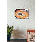 Epic Art 'Agate Studies III' by Naomi McCavitt Acrylic Glass Wall Art,16x24