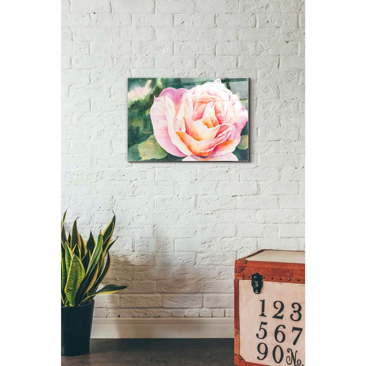 Epic Art 'Sunlit Rose' by Anne Waters, Acrylic Glass Wall Art,16x24