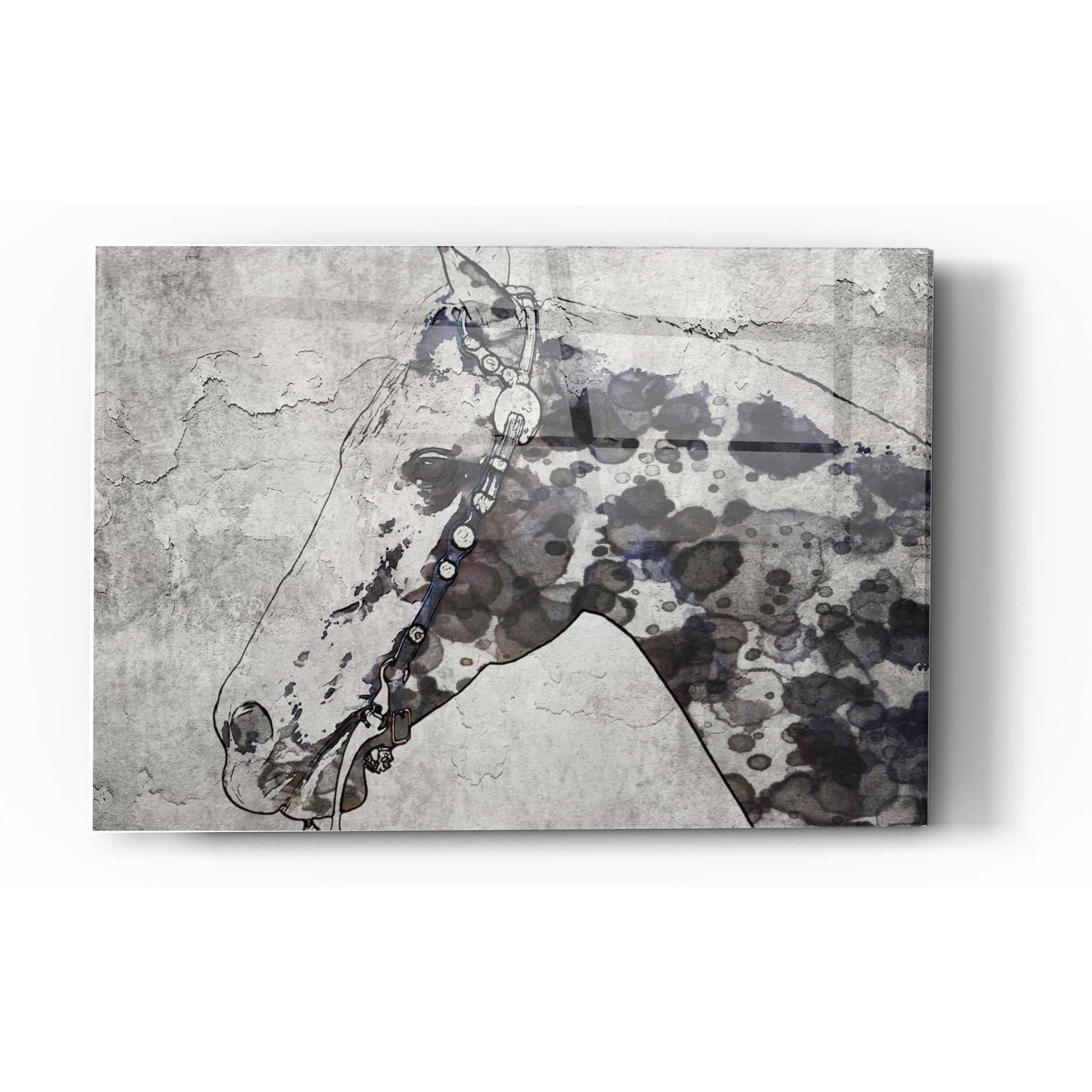 Epic Art 'Black Ghost Horse 2' by Irena Orlov, Acrylic Glass Wall Art,16x24