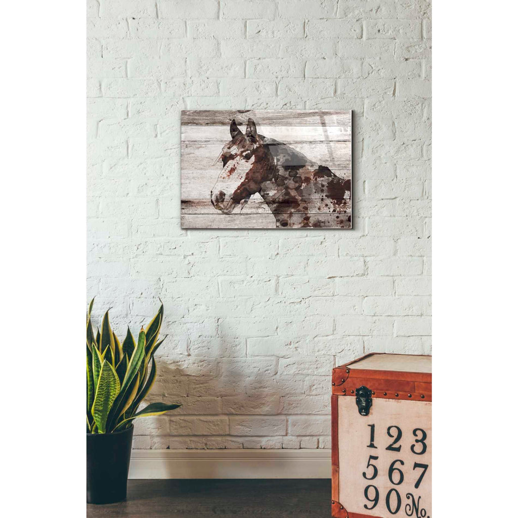 Epic Art 'Jalisco Horse' by Irena Orlov, Acrylic Glass Wall Art,16x24