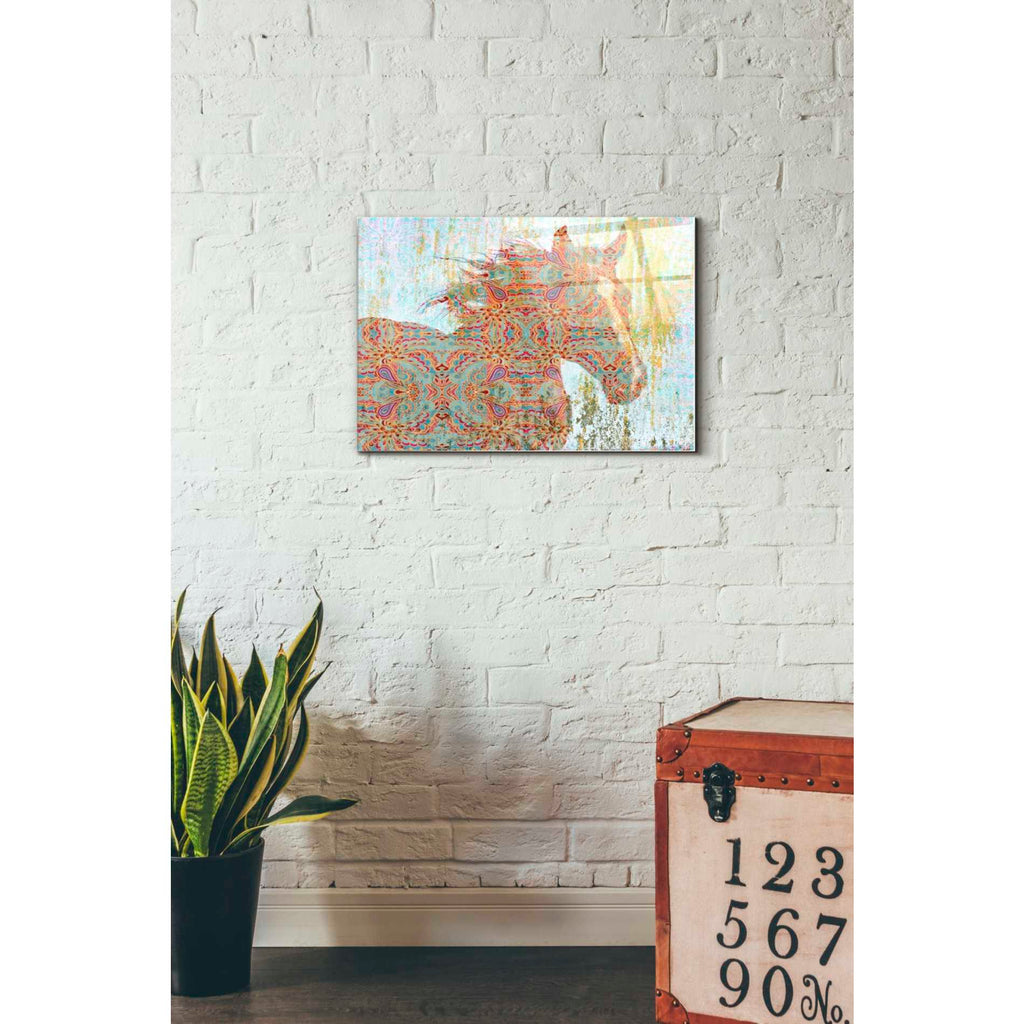 Epic Art 'Pattern Horse' by Irena Orlov, Acrylic Glass Wall Art,16x24