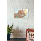 Epic Art 'Pattern Horse' by Irena Orlov, Acrylic Glass Wall Art,16x24