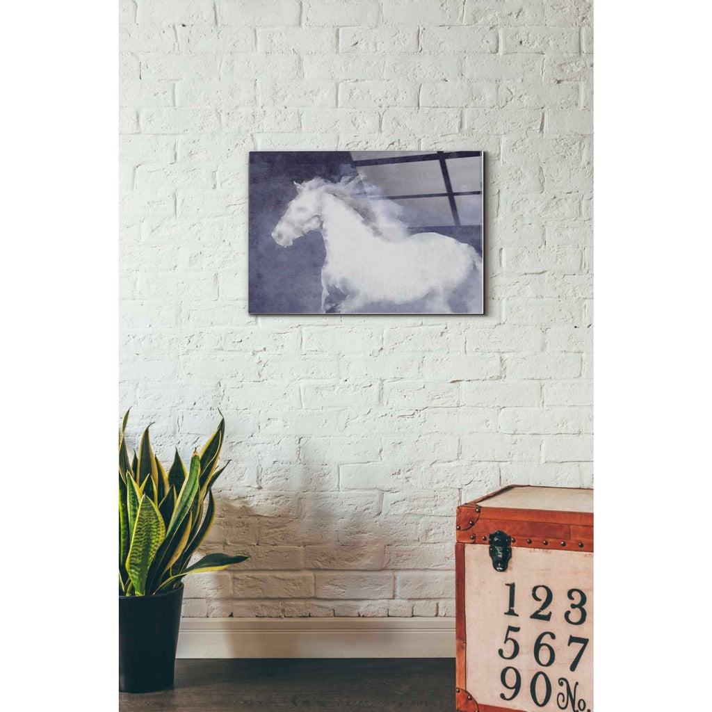 Epic Art 'White Running Horse In The Fog Mist 1' by Irena Orlov, Acrylic Glass Wall Art,16x24