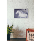 Epic Art 'White Running Horse In The Fog Mist 1' by Irena Orlov, Acrylic Glass Wall Art,16x24