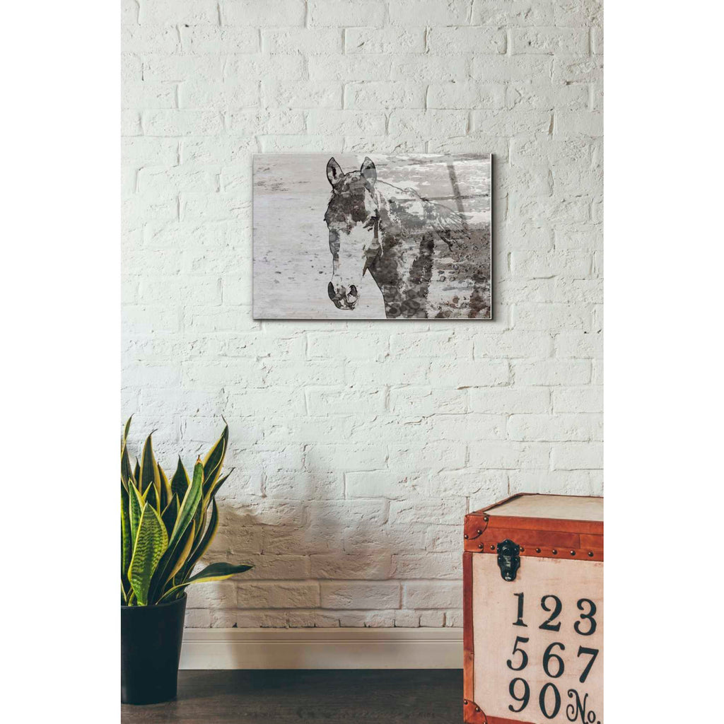 Epic Art 'Portrait of a Horse' by Irena Orlov, Acrylic Glass Wall Art,16x24