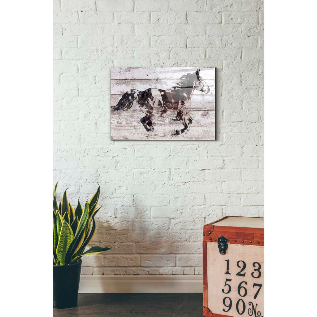 Epic Art 'Running Arabian Horse' by Irena Orlov, Acrylic Glass Wall Art,16x24