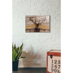 Epic Art 'White-Tailed Deer' by Irena Orlov, Acrylic Glass Wall Art,16x24