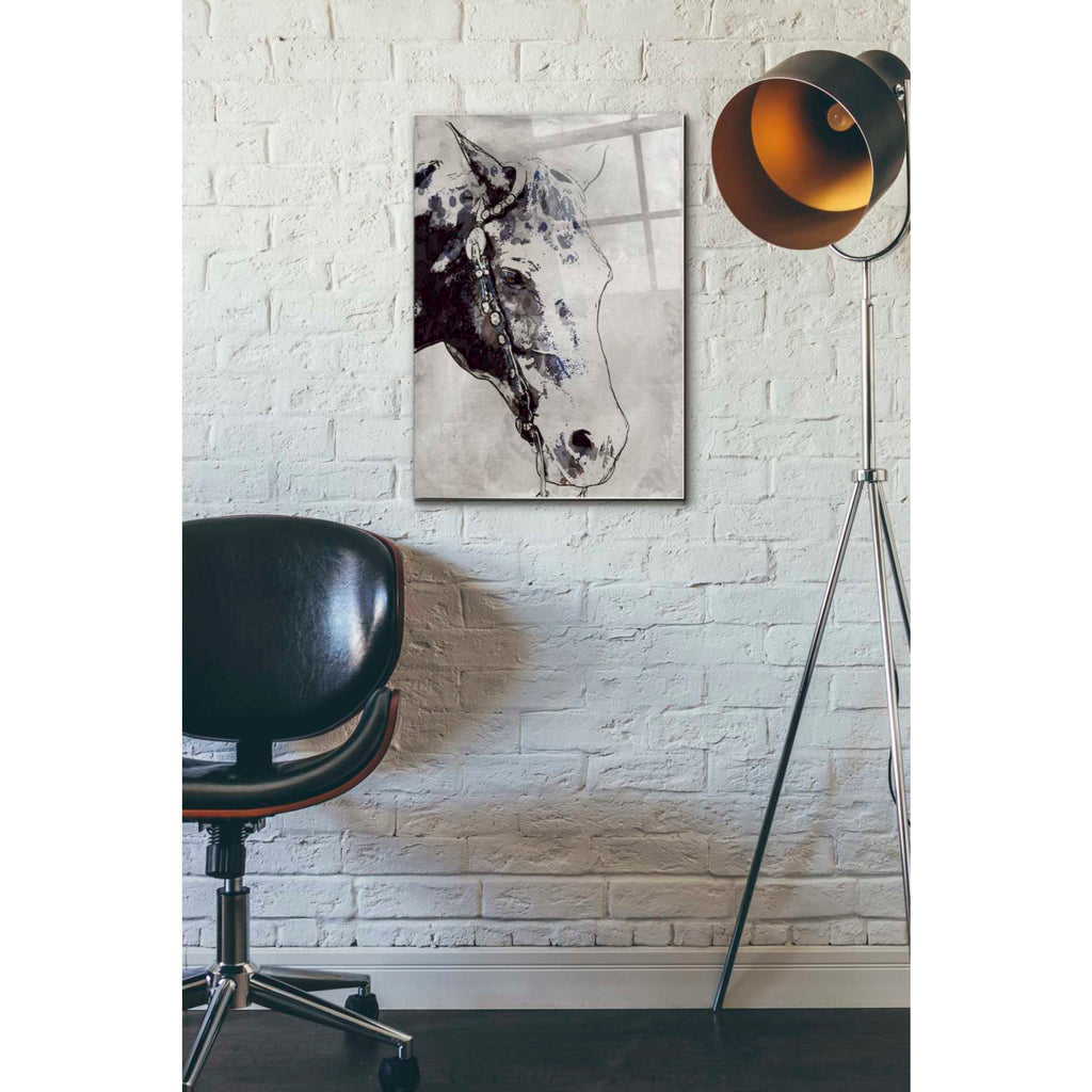 Epic Art 'Morgan Horse-Black Beauty' by Irena Orlov, Acrylic Glass Wall Art,16x24