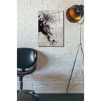 Epic Art 'Morgan Horse-Black Beauty' by Irena Orlov, Acrylic Glass Wall Art,16x24